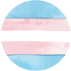 Transgender pride flag badge